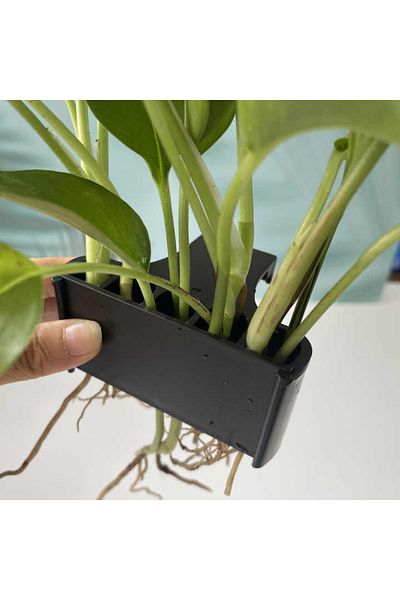 OEM Suport plante acvariu,negru 5 gauri