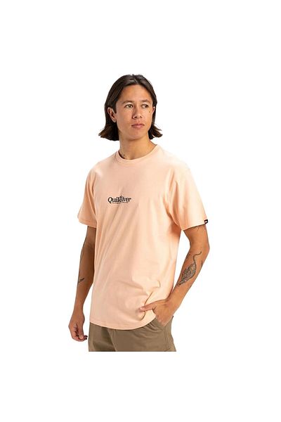 Quiksilver Ανδρικό ροζ μπλουζάκι Fineline Ανδρικό μπλουζάκι Eqyzt08062