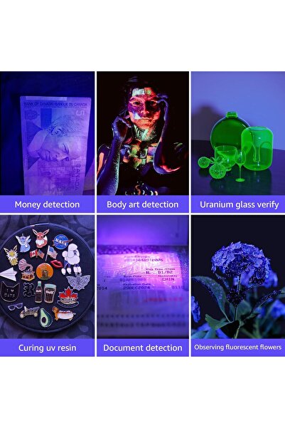 LEPRO UV Light, 21 LED 395nm UV Torch - Black Light Detector for Pet Urine, Stains, Bed Bugs, Scorpi