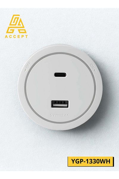 ACCEPT 10A Type-C & USB Socket for Electric Circuit