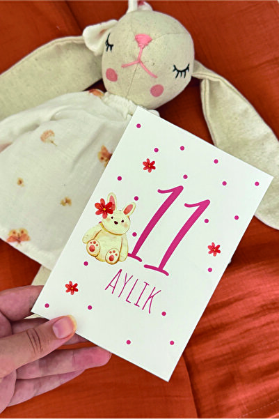 Tasarımco بطاقة ذاكرة الطفل، بطاقات التقاط الصور الشهرية للأطفال، 12 قطعة