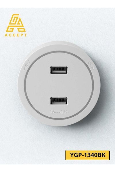 ACCEPT 10 Ampere Electric Socket with 2X USB