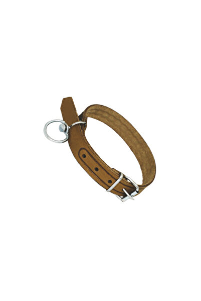 flores Zgarda caine din piele, nr 298,2 cm x 50 cm