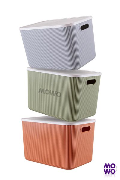 Mowo Home Cutie cu ușă pentru organizator de interior Trove Mix 21 Lt, cutie de depozitare decorativă, coș