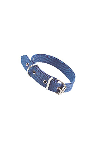 flores Zgarda caine sintetica, albastra, nr 100,2.5 cm x 40 cm