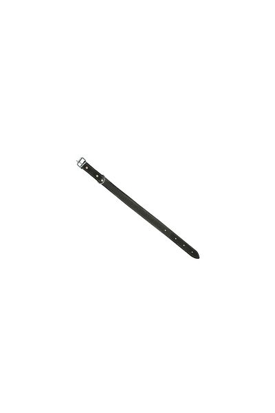 flores Zgarda caine din piele subtire, nr 220, 3 cm x 60 cm