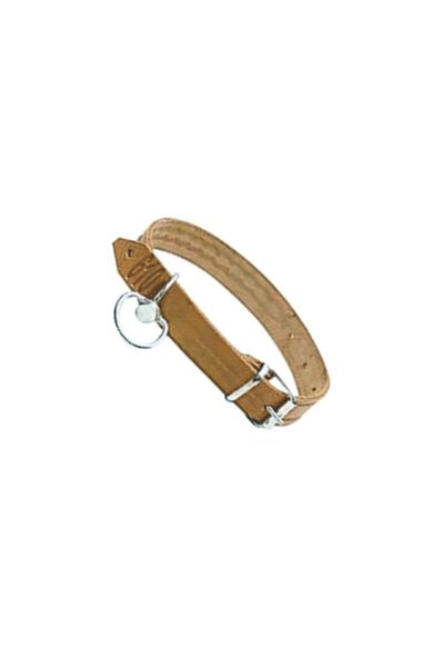 flores Zgarda caine din piele, nr 610, 2.5 cm x 60 cm