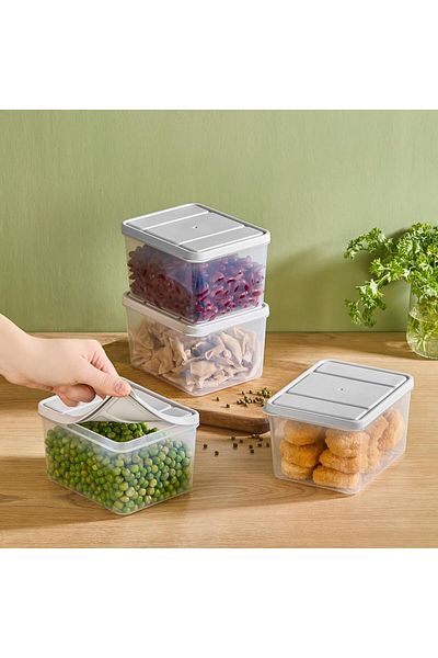 SELKA HOME Selka Nora 4 Pieces Deep 1 Lt. Storage Container