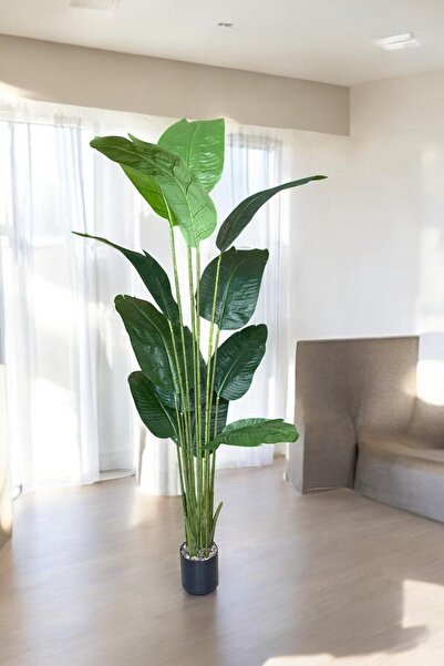 YAPAY ÇİÇEKÇİNİZ Yapay Ağaç Starliçe Gerçek Dokunuş 12 Büyük Yaprak Yeşil 180-185 Cm