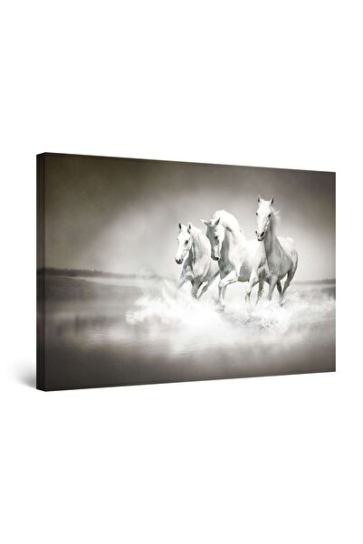 startonight Tablou DualView Startonight Cai la Galop, 60 x 90cm