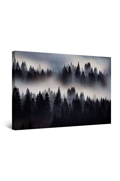 startonight Tablou DualView Startonight Ceata in Padure, 80 x 120cm