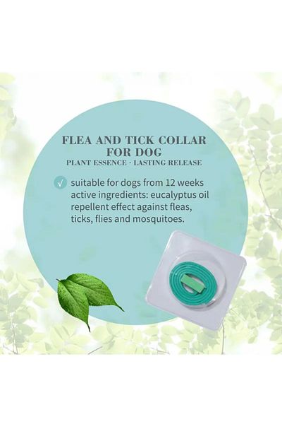 Bioline Natural Flea & Tick Collar for Dogs, 60cm - Eucalyptus Oil Protection
