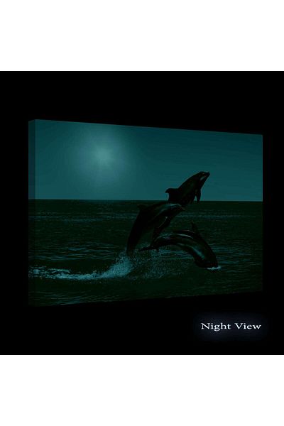 startonight DualView Startonight Playful Dolphins Painting, 60 x 90cm