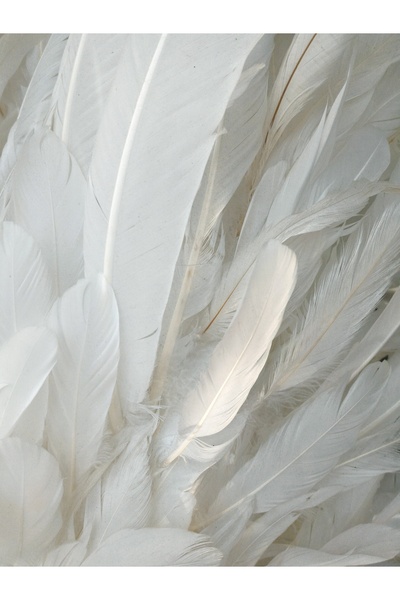 Harikabirev HARİKABİREV|BEYAZ ÇİÇEK KANAT KOMBİNİ (WING) |ÇERÇEVELİ CAM TABLO 2Lİ DİKEY