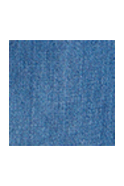 Lee Câmpul de afine STELLA