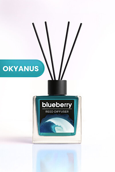 Blueberry Ocean Oda Kokusu  100 ml BBCN000706