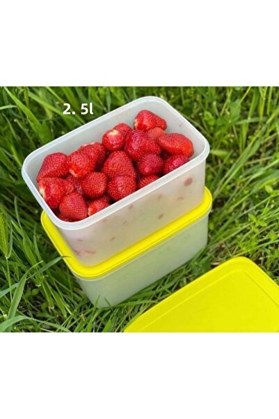 Tupperware ألاسكا 2 قطعة 2.5.LT مجموعة التغذية