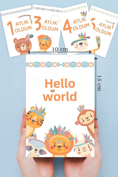 By Nur Erten 13 Pieces Newborn Baby Boy Monthly Photo Shoot Memory Card, Baby Gift, Baby Photo Shoot