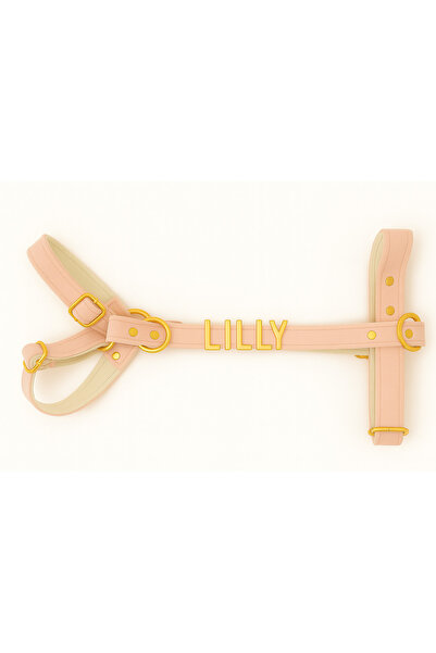 Pawsim Kişiye Özel Isimli H Model Ayarlanabilir Kadife Köpek Göğüs Tasması - S/m/l Gezdirme Kayışı Set