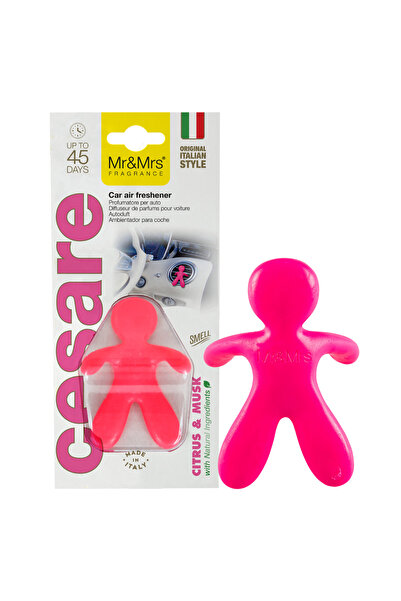 Mr&Mrs Fragrance Cesare - Oto Araç Kokusu, Araba Klima Kokusu, Oto Kokusu - C...
