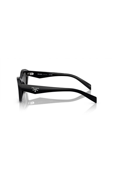 Prada Inspired Pr A02s 16k08z 52 Women's Sunglasses