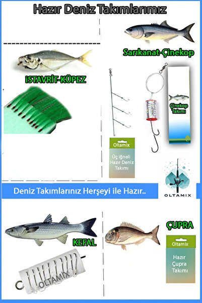 OLTAMİX Profesyonel Tekne Deniz Olta Seti-olta Takımı 6000'lik Makina