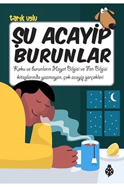 Uğurböceği Yayınları Şu Acayip Burunlar