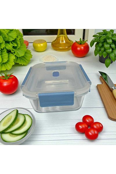 Noah 650 ml Glass Storage Container(17 cm X 12 cm) - Borosilicate Heat Resistant - with Plastic Leak Proof Lid