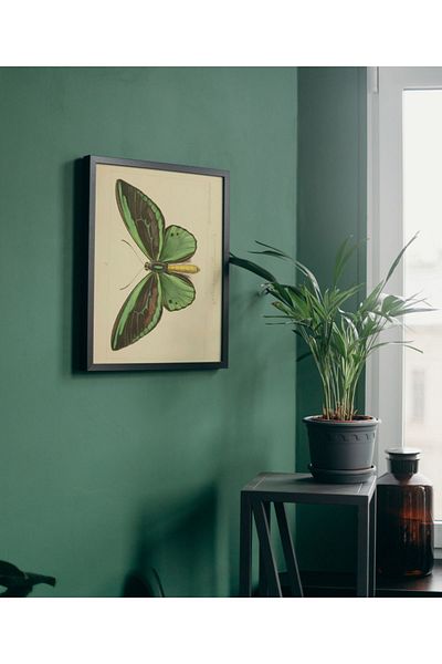 Arthopia Αφίσα με αποξηραμένη πεταλούδα Pinterest Πίνακας σχεδίασης διακόσμησης υψηλής ποιότητας με πλαίσιο