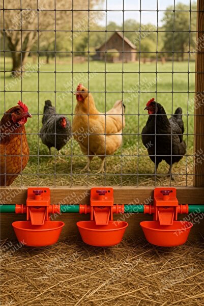 STELLA MODA Otomatik Akıllı Tavuk Civciv Suluğu Suluk 6 Adet Hindi Ördek Bıldırcın Güvercin Yumurta Yumurtacı