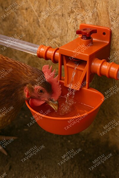 STELLA MODA Otomatik Akıllı Tavuk Civciv Suluğu Suluk 6 Adet Hindi Ördek Bıldırcın Güvercin Yumurta Yumurtacı