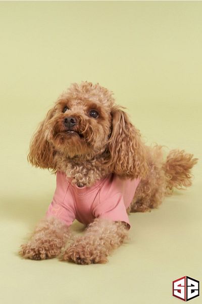 salya store 100% Organic Cotton Fabric Dog Clothing, Hands