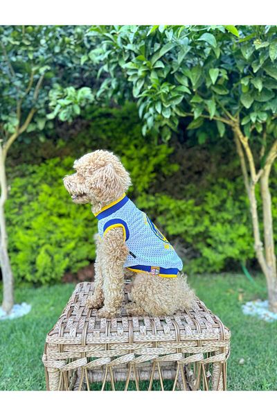 salya store Summer Dog Basketball Jersey, Summer Dog Clothes