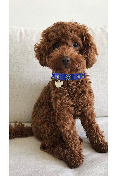 Mon A Paw Nazar Boncuklu Köpek Boyun Tasması Sax