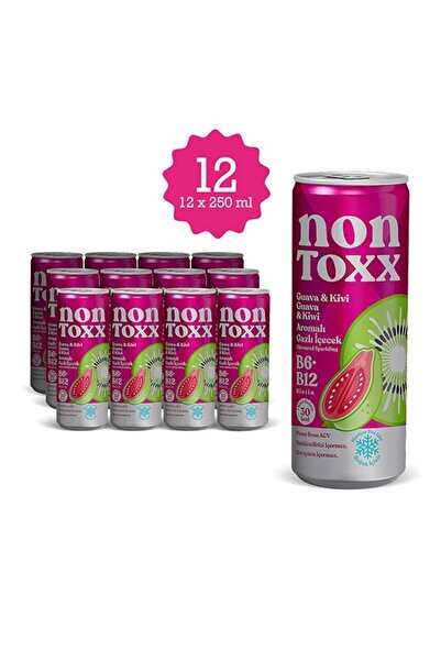 NON TOXX Nontoxx Guava & Kivi Aromalı, Sirkeli, Gazlı İçecek 250 ML