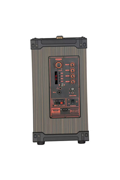 Dynego C8 Kablosuz Çift Mikrofonlu Ahşap Hoparlör Süper Bas Bluetooth Fm Kablosuz Mikrofon Karaoke