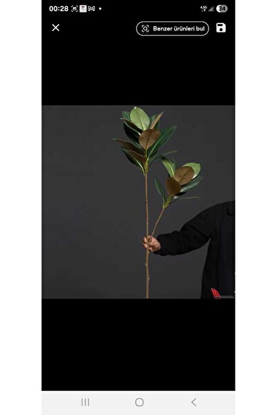 YASİMA GERÇEK GÖRÜNÜMLÜ KAUÇUK AĞACI İKİ DALLI EV DEKOR SÜS