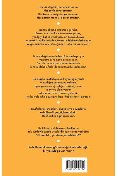 Bloomsbury Looking for Happiness Where You Lost It - Beyhan Budak