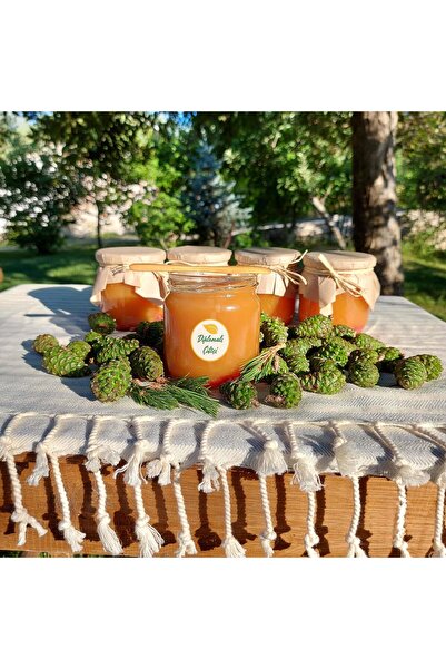 Diplomaliciftci Şekersiz- Çam Kozalak Şurubu - (425ML)