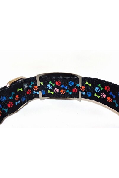 Ayz Aksesuar Köpek Künyesi, Köpek Isimlik, Sallanmayan Isimlik, Paslanmaz Çelik Malzeme