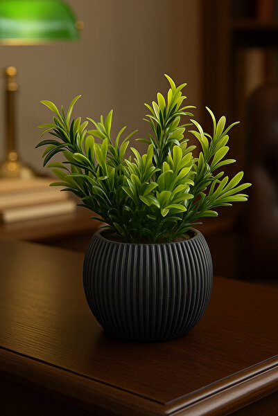 ALSHOP Mini Saksıda Afrika Zambağı Yapay Bitki Gerçek Taş Yosunlu 18 Cm Dekoratif Banyo Mutfak Masa Çiçeği