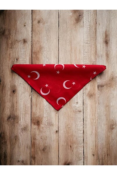 Goldmine Unisex 100% Cotton Bandana