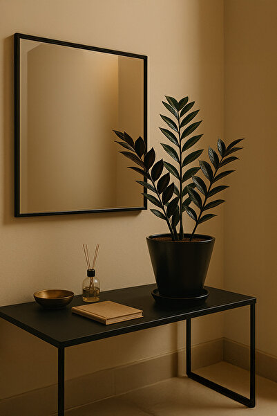 Evdek Tabaklı Siyah Konik Çömlek Saksı 14x15 Cm