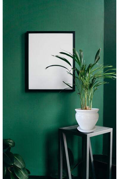 Evdek Tabaklı Klasik Beyaz Çömlek Saksı 17x17 Cm