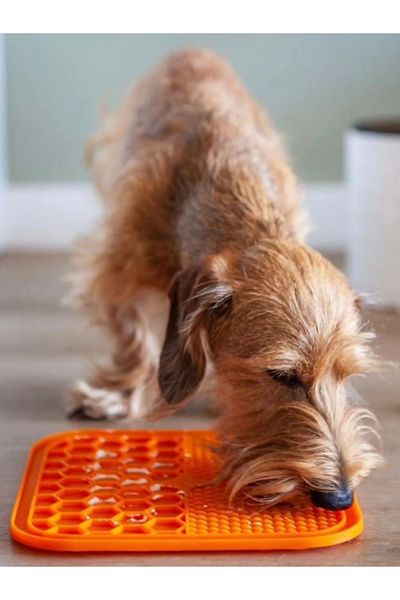 M-PETS Lecca Liquid Reward Mat Orange (L)