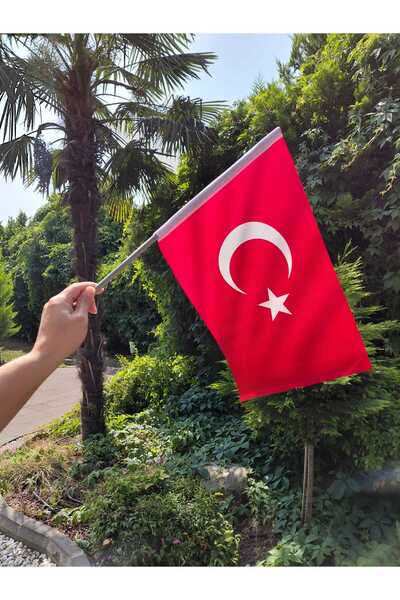 Genel Markalar 50 Adet 30x45 Cm Sopalı Miting Türk Bayrağı – 80 G/m² | Raşel ...