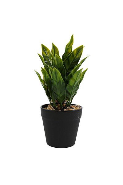 Ella Home Italia Artificial Arrangement, Green, Plastic, 22cm - Green, Plastic, 22cm