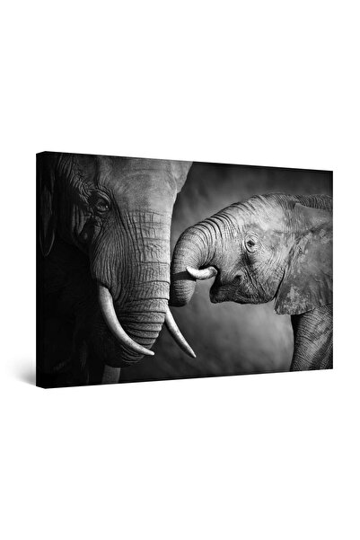 startonight Tablou DualView Startonight Mama Elefant, 60 x 90cm