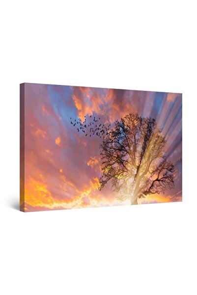 startonight Tablou DualView Startonight Culori pe Cer, 60 x 90cm