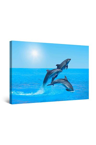 startonight DualView Startonight Playful Dolphins Painting, 80 x 120cm